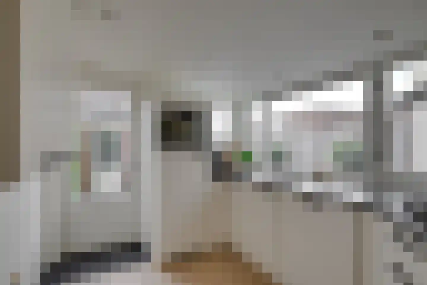 Rijnweg 43 Monster thumbnail 6