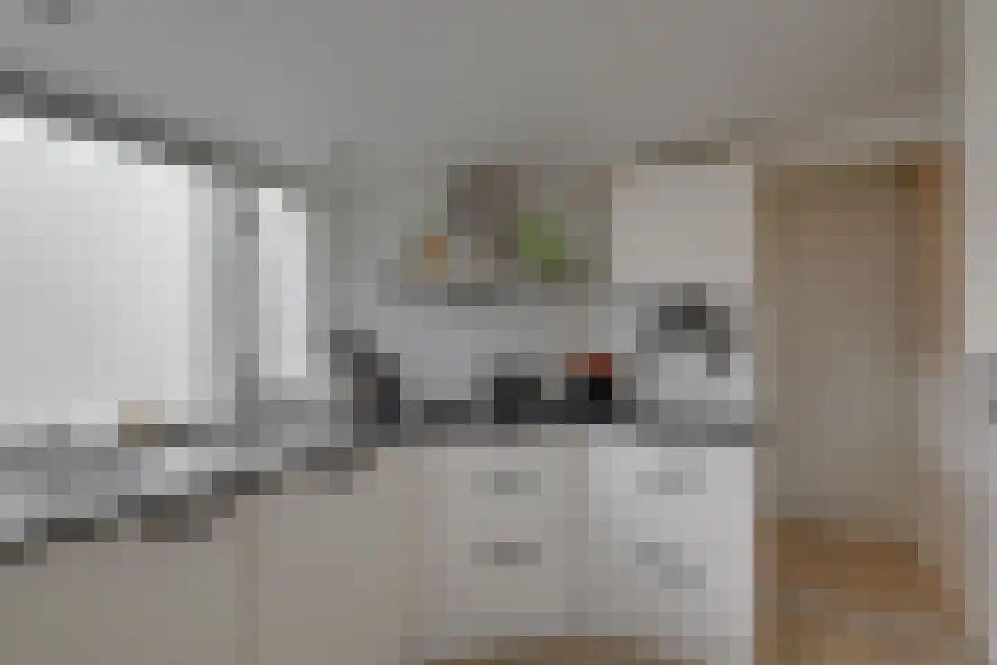Rijnweg 43 Monster thumbnail 8