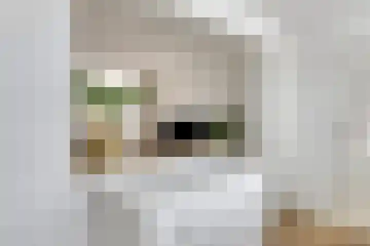 Rijnweg 6 Monster thumbnail 10