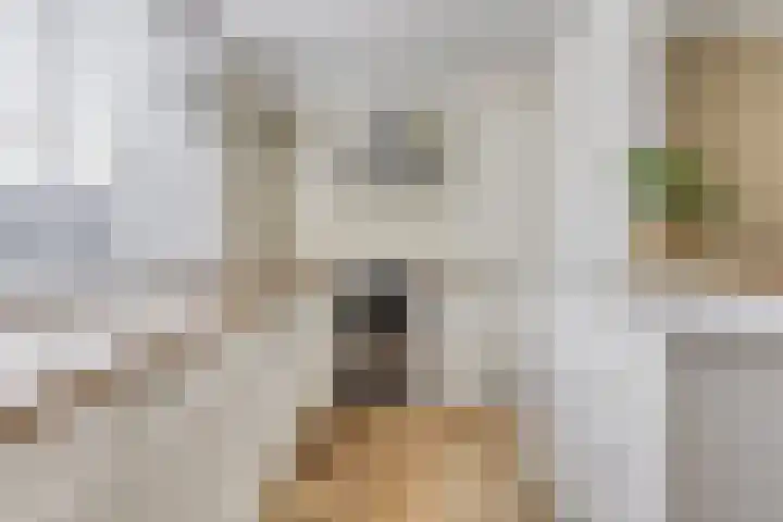 Rijnweg 6 Monster thumbnail 11