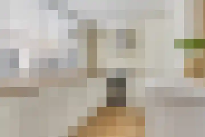Rijnweg 6 Monster thumbnail 12