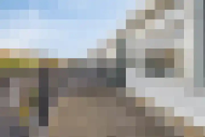 Rijnweg 6 Monster thumbnail 26