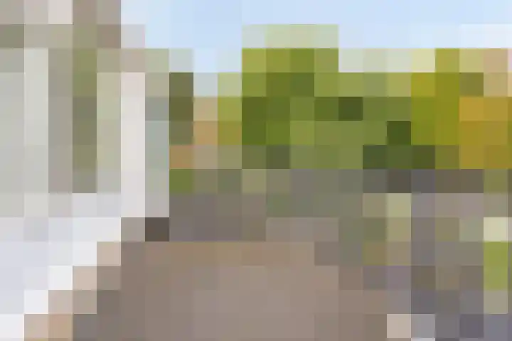 Rijnweg 6 Monster thumbnail 27