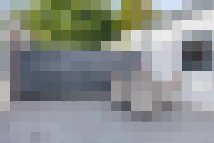 Rijnweg 6 Monster thumbnail 29
