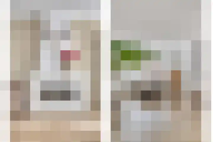 Rijnweg 6 Monster thumbnail 7