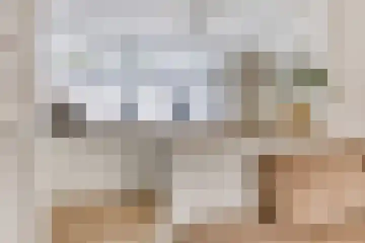 Rijnweg 6 Monster thumbnail 8