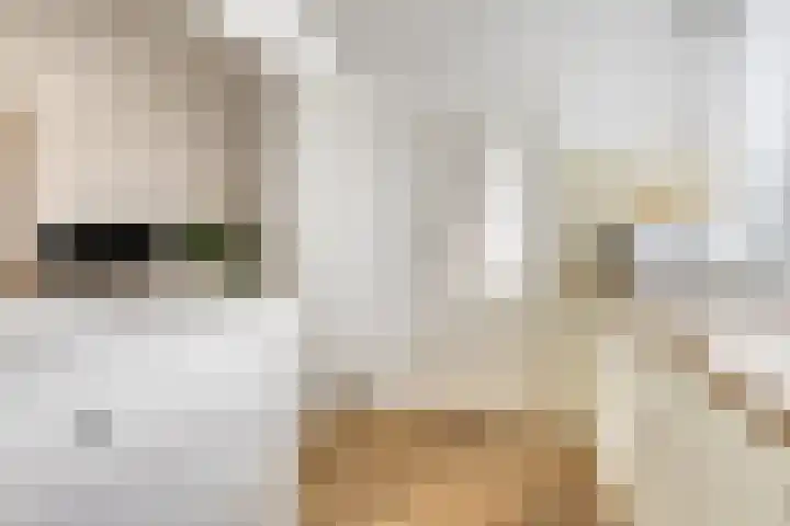 Rijnweg 6 Monster thumbnail 9