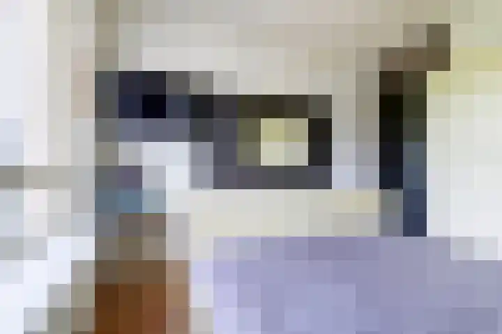 Rijnweg 64 B Monster thumbnail 10