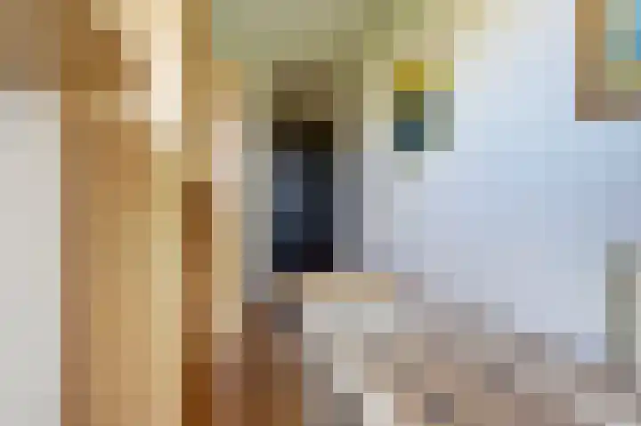 Rijnweg 64 B Monster thumbnail 12