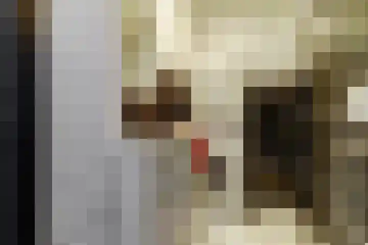 Rijnweg 64 B Monster thumbnail 13
