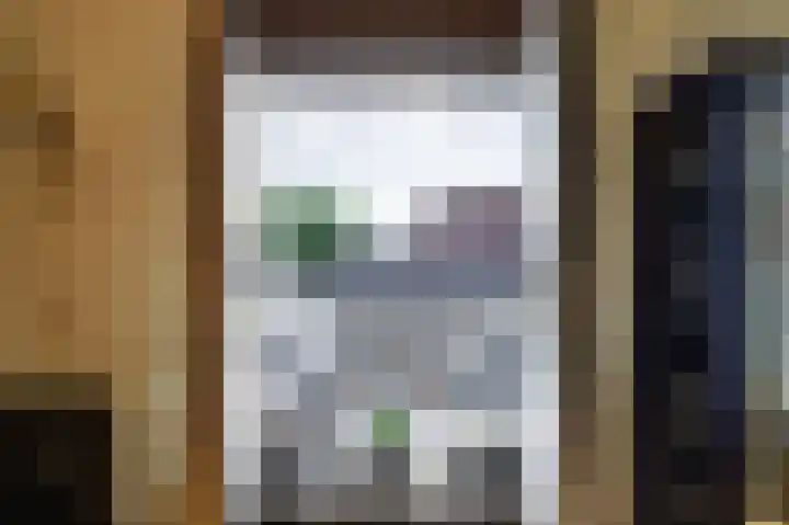 Rijnweg 64 B Monster thumbnail 8
