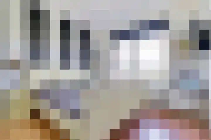 Rijnweg 64 B Monster thumbnail 9