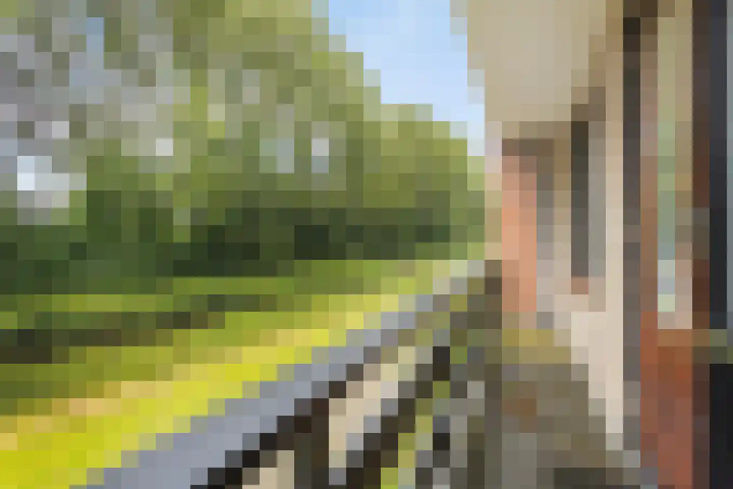 Rijnweg 78 in Monster