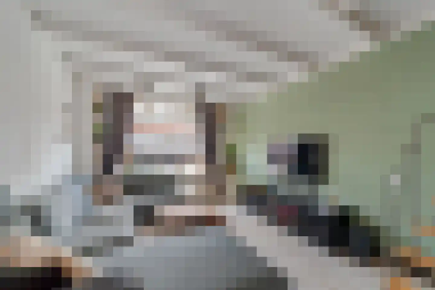 Rijnweg 81 Monster thumbnail 4