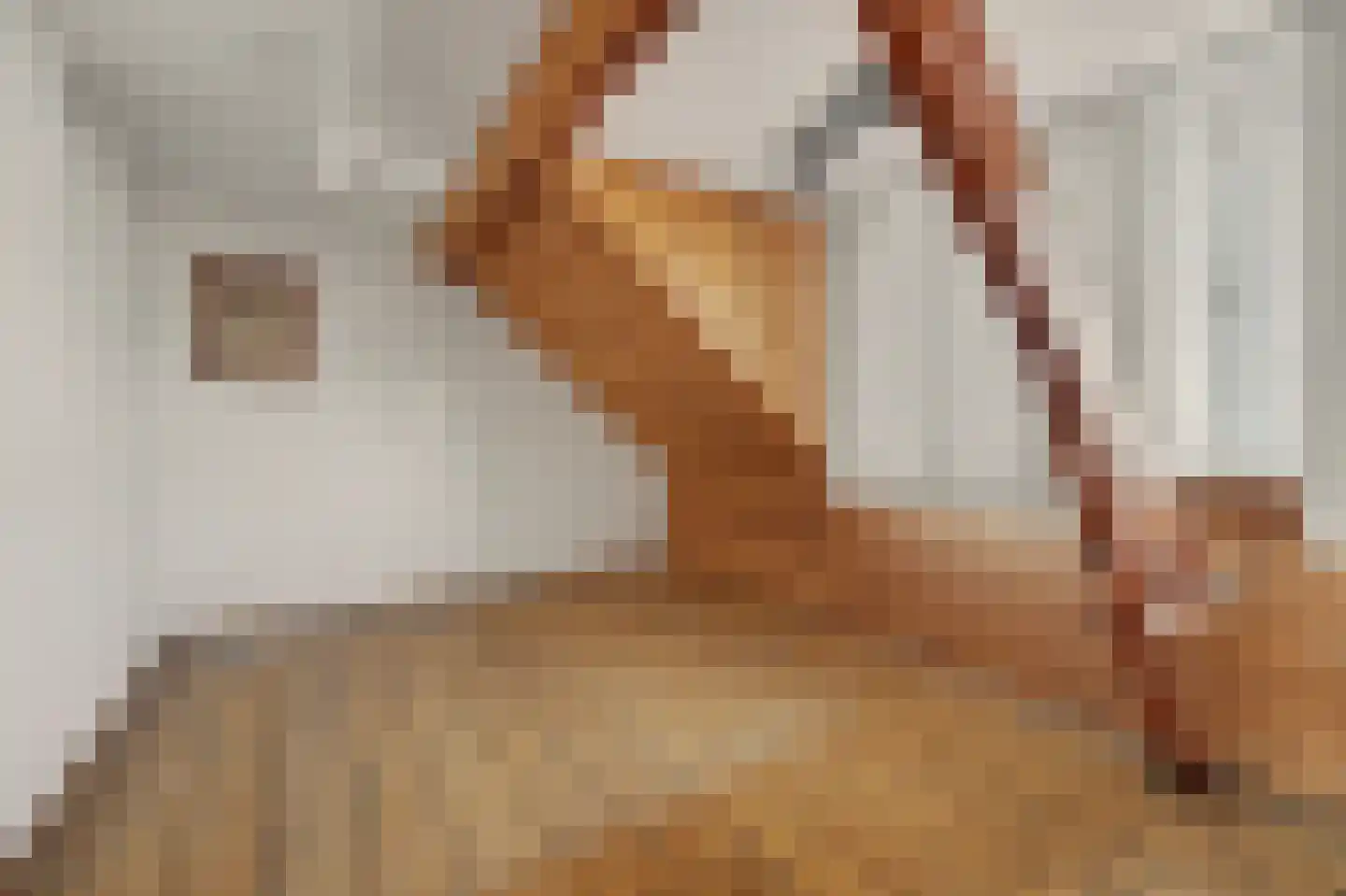 Rijnweg 89 Monster thumbnail 13