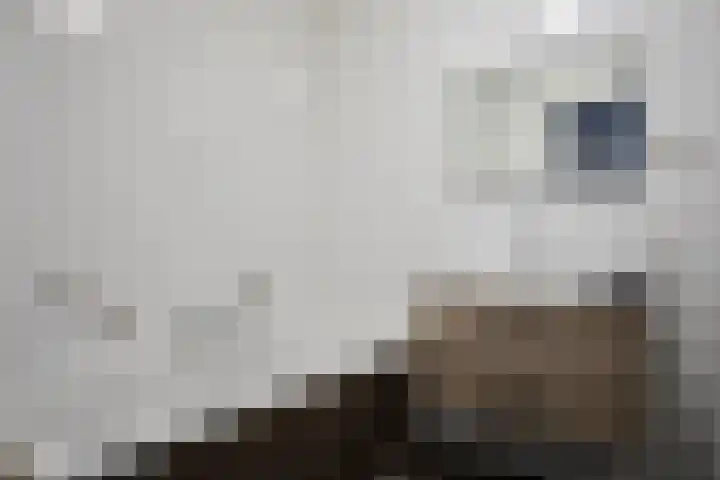 Rijnweide 13 Vleuten thumbnail 14