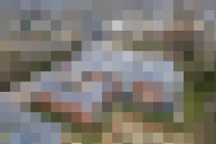 Rijnweide 13 Vleuten thumbnail 21