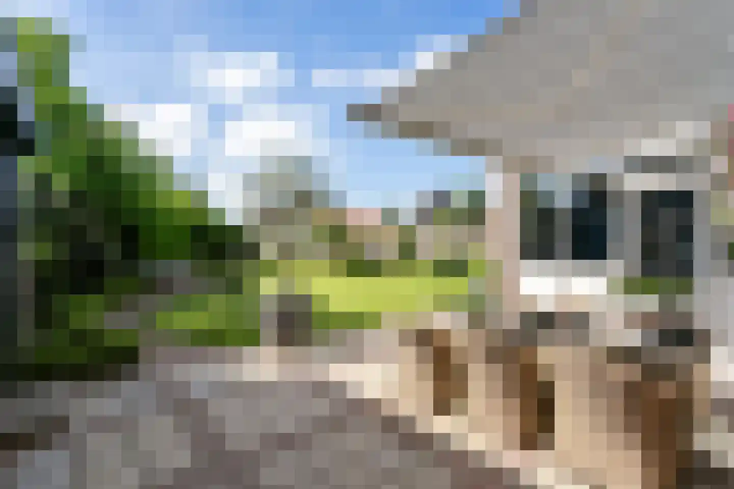 Rijnweide 24 Cothen thumbnail 23