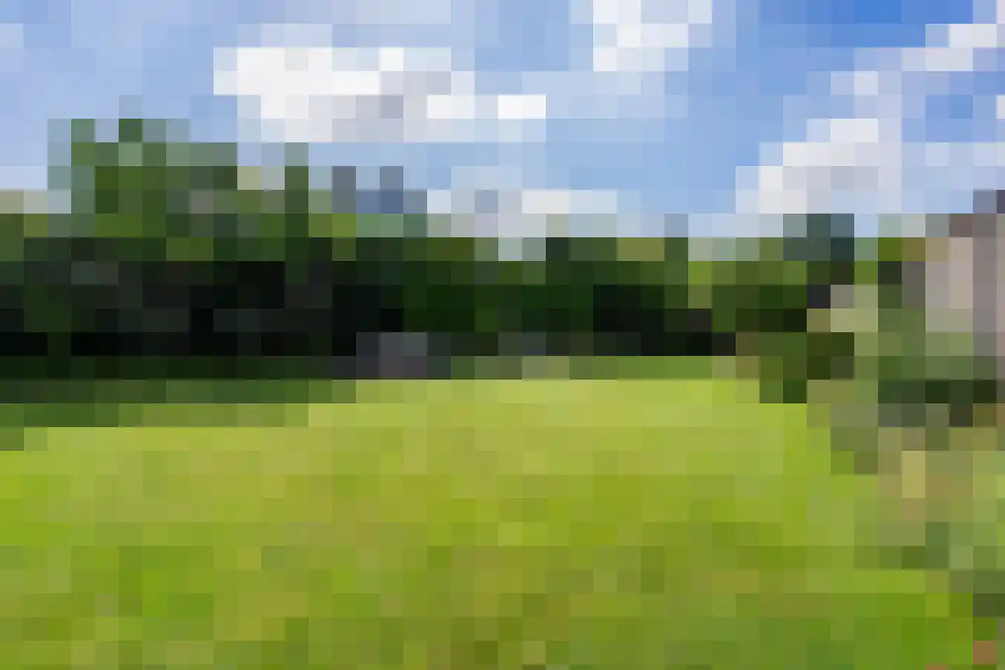 Rijnweide 24 Cothen thumbnail 25