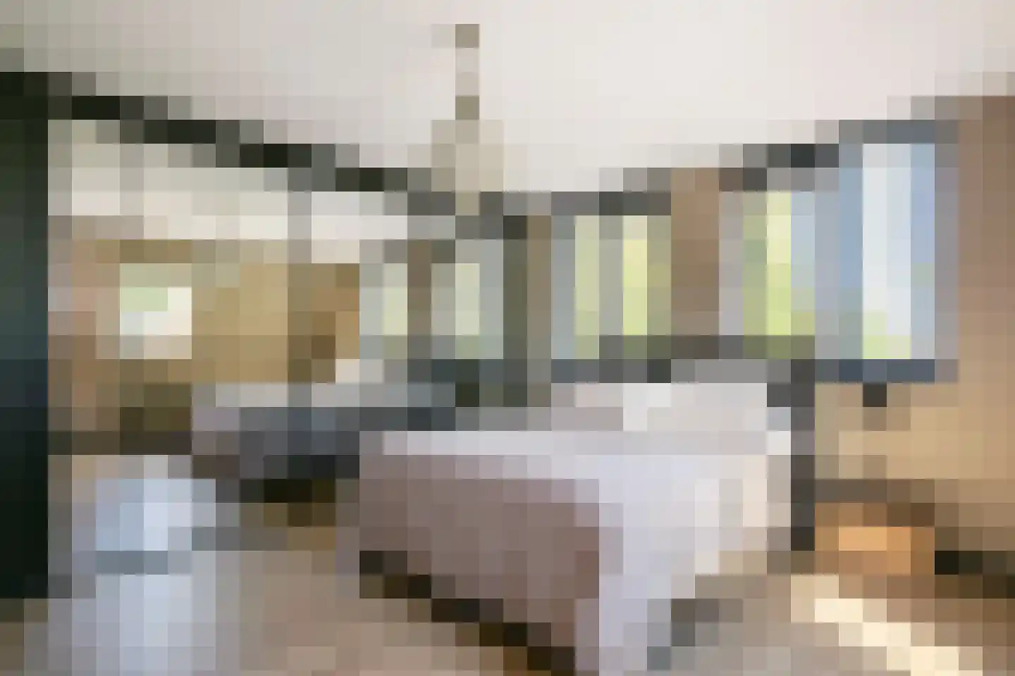 Rijnweide 24 Cothen thumbnail 36