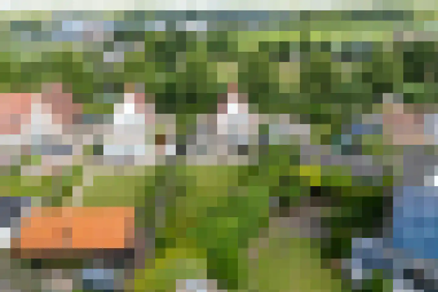 Rijnweide 24 Cothen thumbnail 4