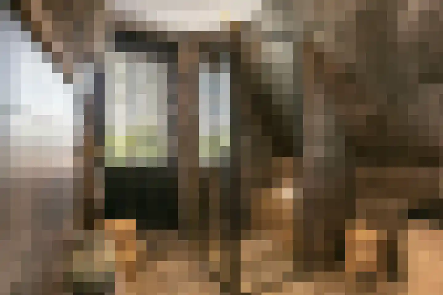 Rijnweide 24 Cothen thumbnail 40