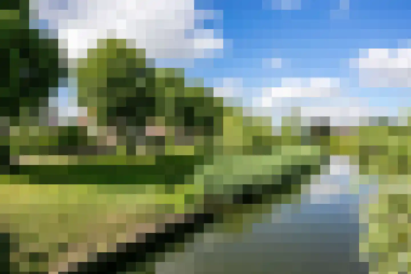 Rijnweide 24 Cothen thumbnail 52