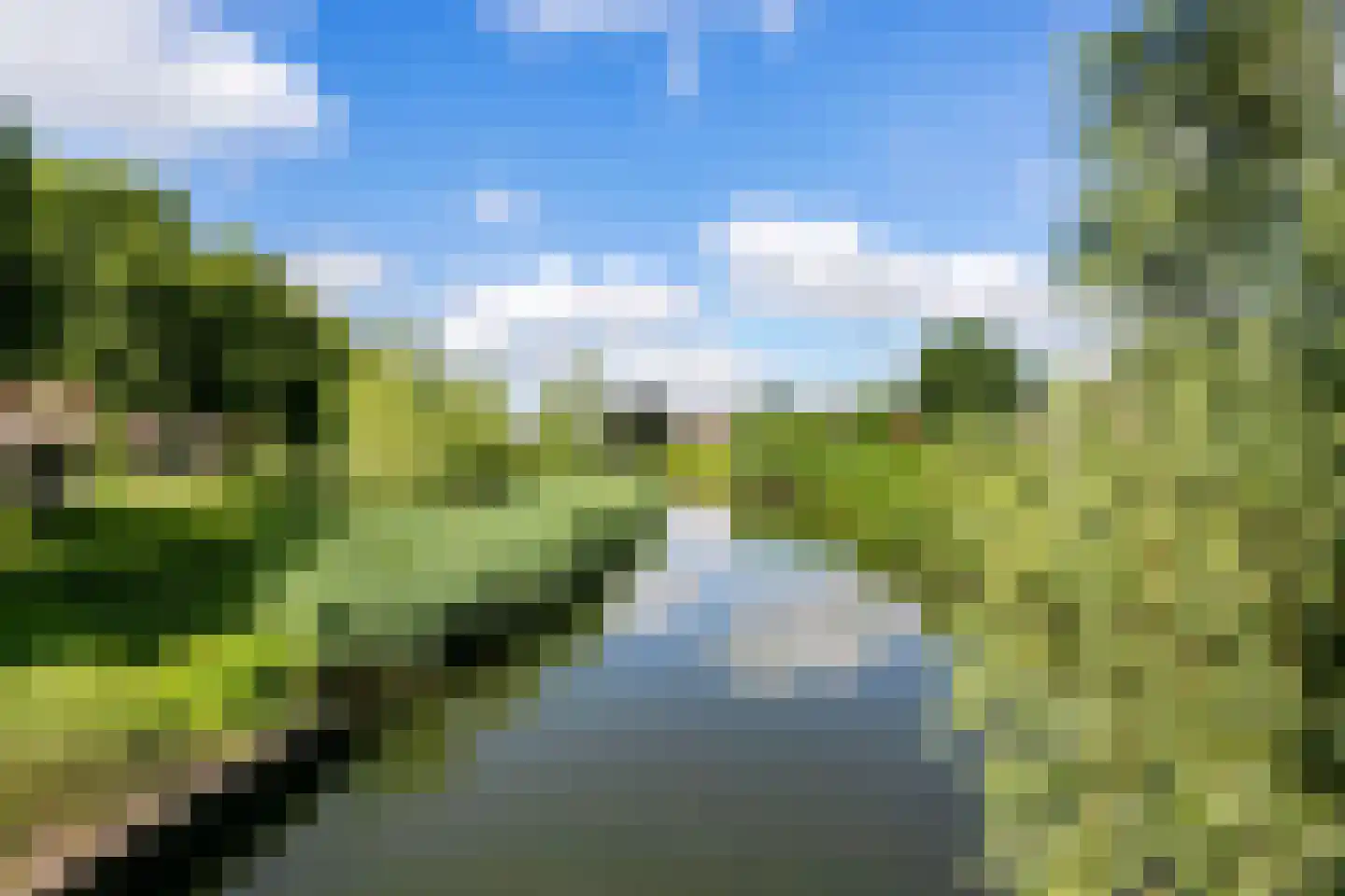 Rijnweide 24 Cothen thumbnail 53