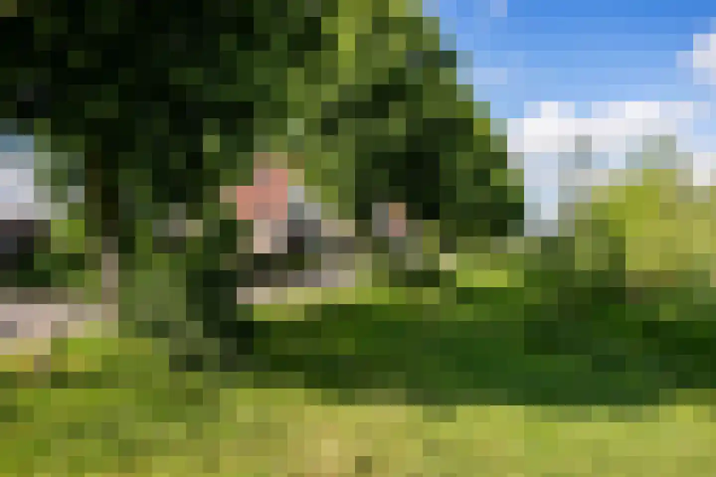 Rijnweide 24 Cothen thumbnail 54