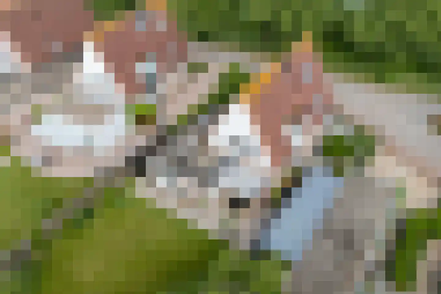 Rijnweide 24 Cothen thumbnail 55