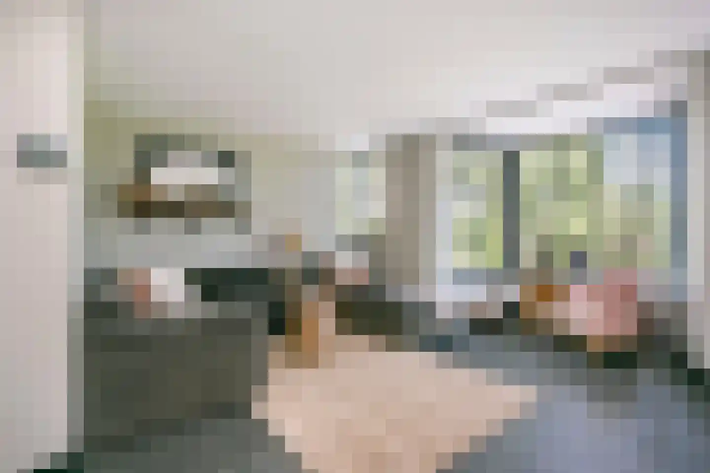 Rijnweide 24 Cothen thumbnail 6