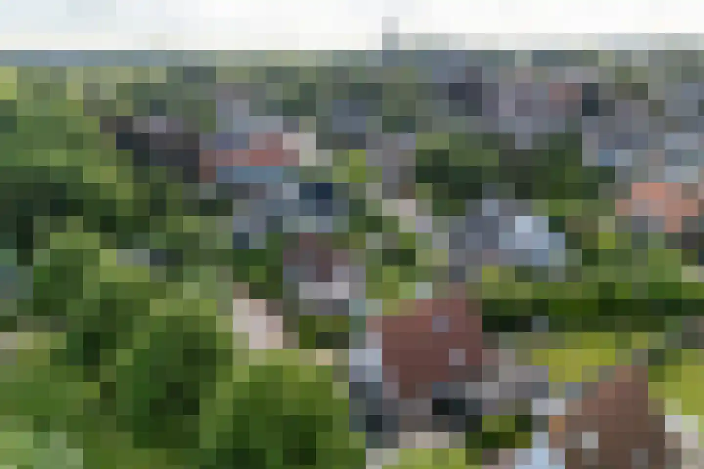 Rijnweide 24 Cothen thumbnail 60
