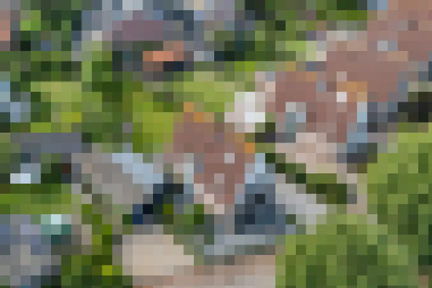 Rijnweide 24 Cothen thumbnail 61