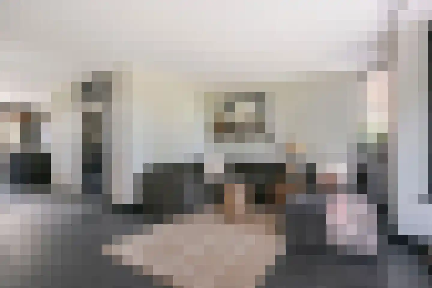 Rijnweide 24 Cothen thumbnail 8