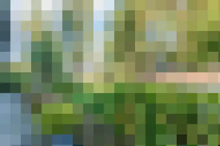 Rijnweide 5 Vleuten thumbnail 10