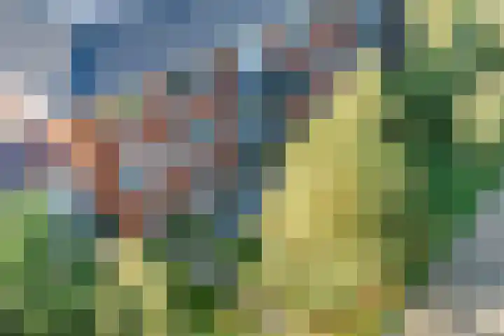 Rijnweide 5 Vleuten thumbnail 13