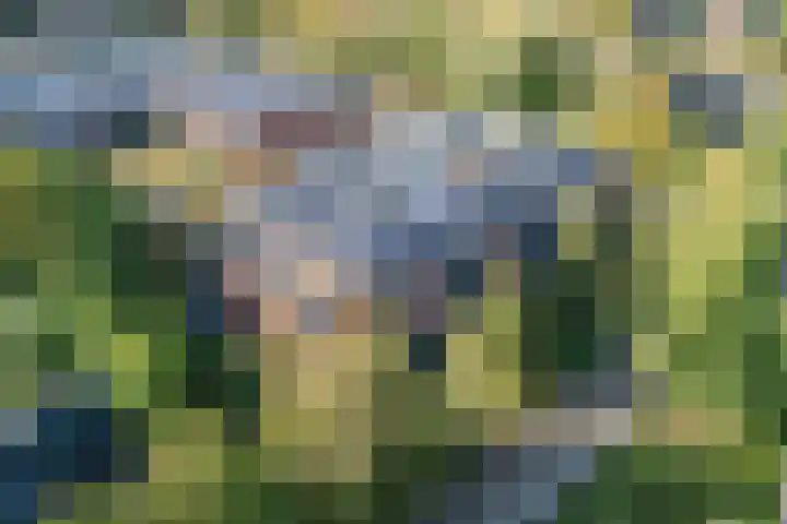 Rijnweide 5 Vleuten thumbnail 14