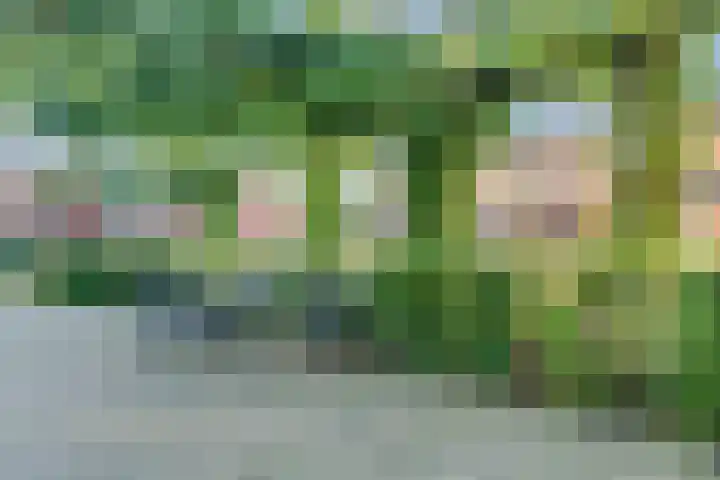 Rijnweide 5 Vleuten thumbnail 43