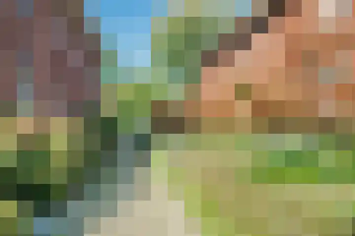 Rijnweide 5 Vleuten thumbnail 45