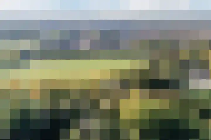Rijnweide 5 Vleuten thumbnail 53