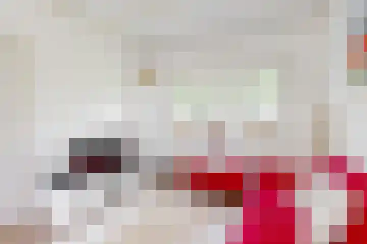 Rijnzichtweg 29 Oegstgeest thumbnail 11