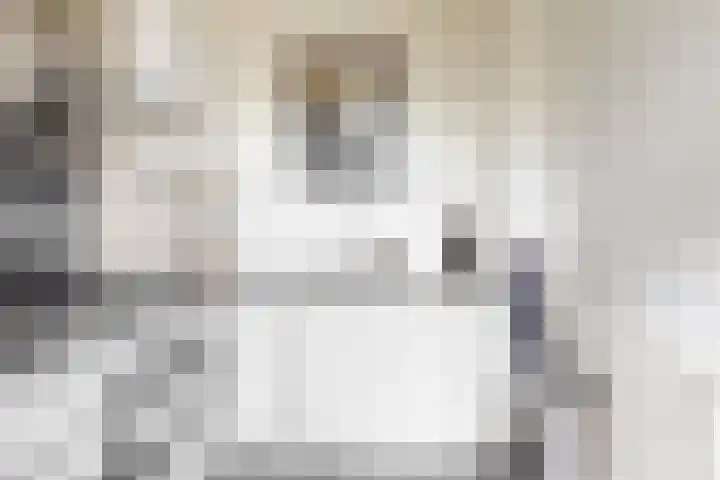 Rijnzichtweg 29 Oegstgeest thumbnail 16