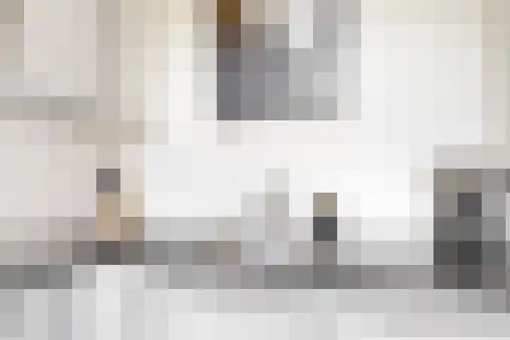 Rijnzichtweg 29 Oegstgeest thumbnail 17