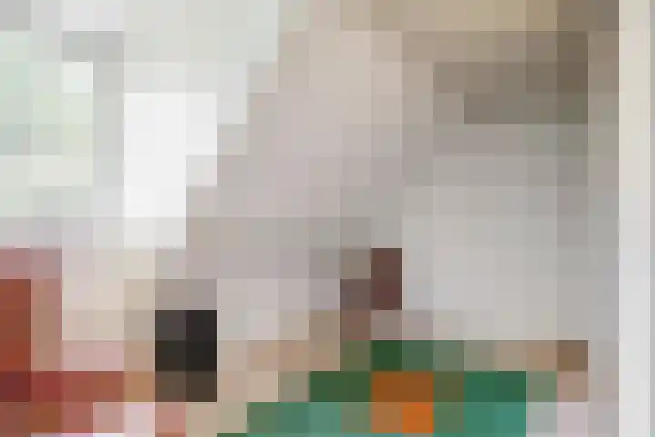 Rijnzichtweg 29 Oegstgeest thumbnail 19