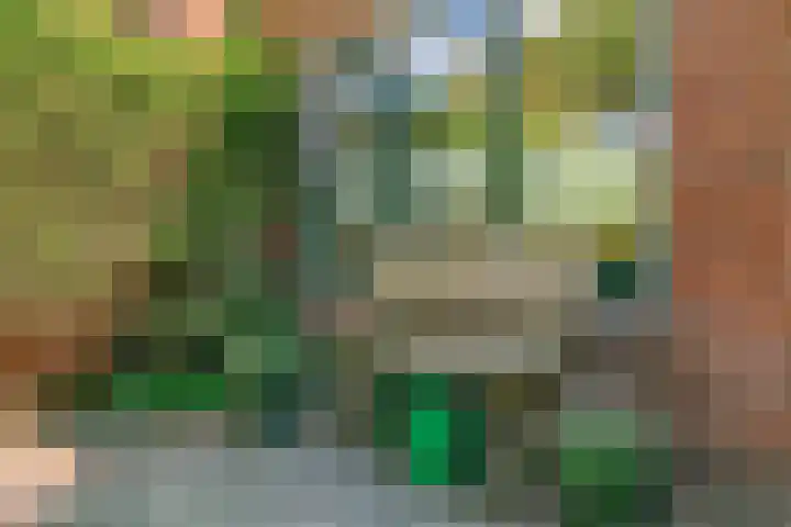 Rijnzichtweg 29 Oegstgeest thumbnail 30