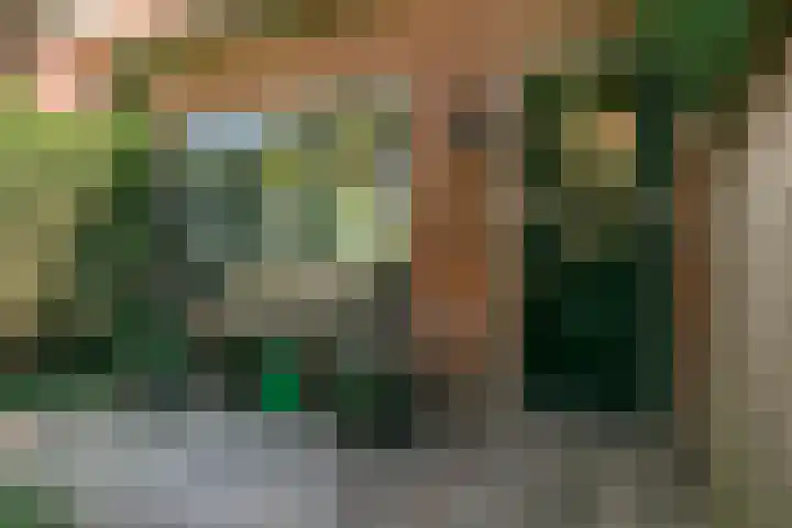 Rijnzichtweg 29 Oegstgeest thumbnail 31