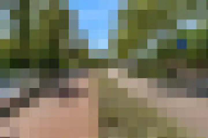 Rijnzichtweg 29 Oegstgeest thumbnail 37