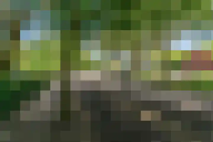Rijnzichtweg 29 Oegstgeest thumbnail 39