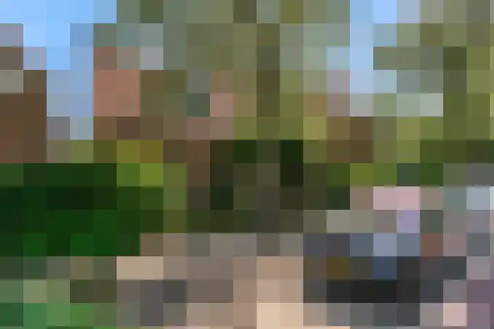 Rijnzichtweg 29 Oegstgeest thumbnail 40