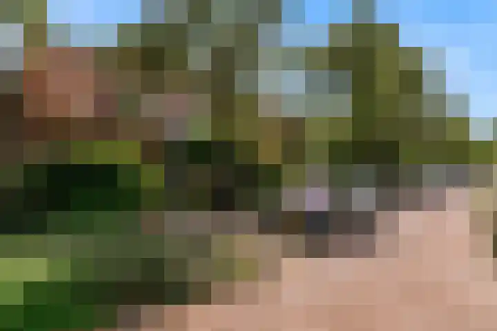 Rijnzichtweg 29 Oegstgeest thumbnail 5
